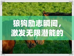 全神贯注 第2页