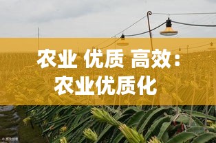 农业 优质 高效：农业优质化 