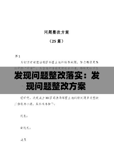 发现问题整改落实：发现问题整改方案 