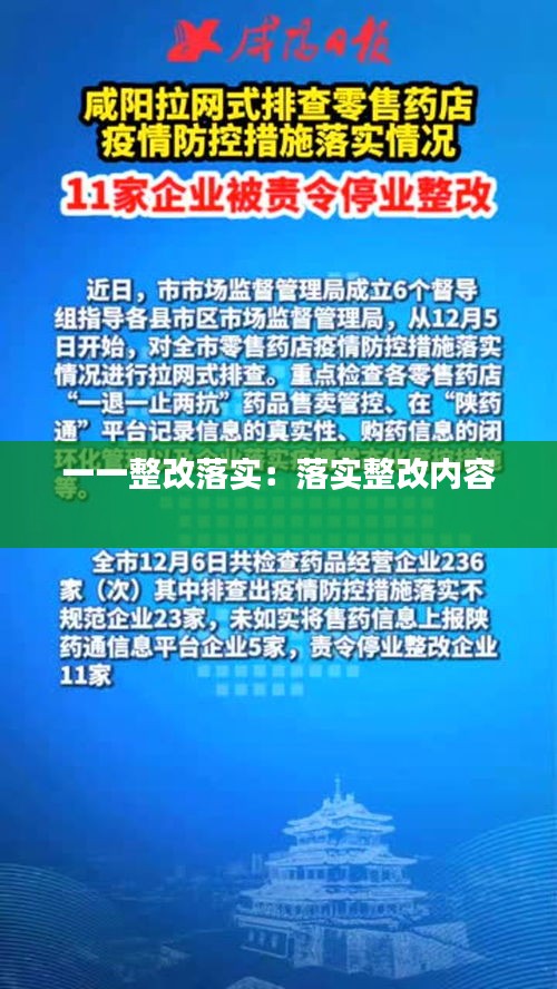 一一整改落实：落实整改内容 
