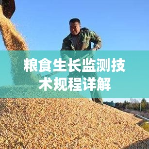 粮食生长监测技术规程详解