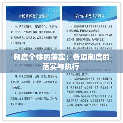 制度个体的落实：各项制度的落实与执行 