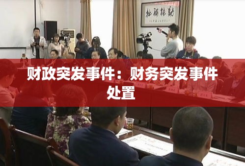 财政突发事件：财务突发事件处置 