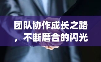 十年磨剑 第2页