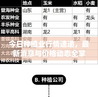 今日种植业行情速递，最新消息与价格动态全掌握