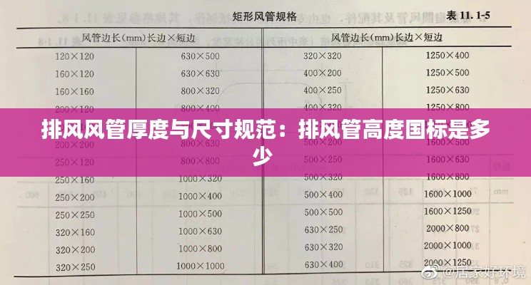 举止娴雅 第2页