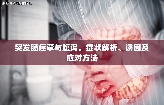 突发肠痉挛与腹泻，症状解析、诱因及应对方法