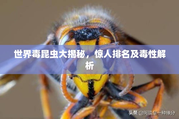水静河飞 第2页