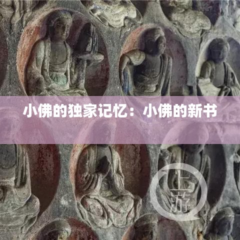 小佛的独家记忆：小佛的新书 