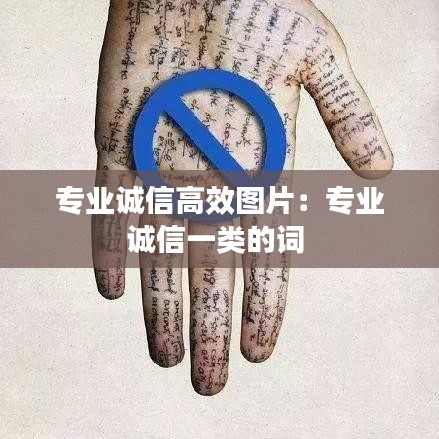专业诚信高效图片：专业诚信一类的词 
