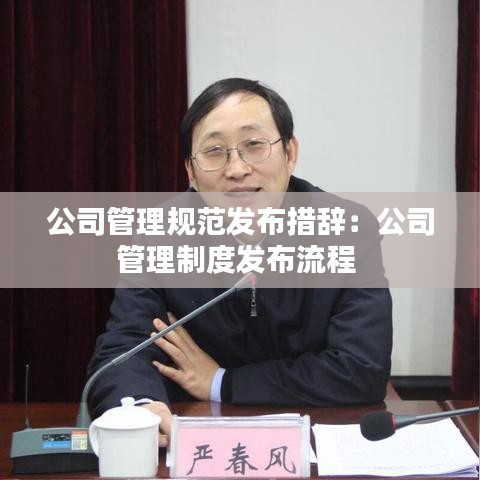 公司管理规范发布措辞：公司管理制度发布流程 