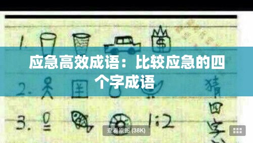 应急高效成语：比较应急的四个字成语 