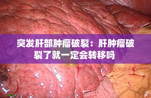 死得其所 第2页
