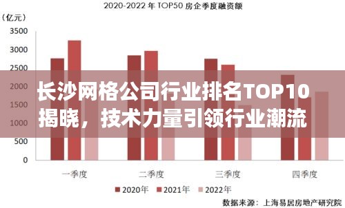 长沙网格公司行业排名TOP10揭晓，技术力量引领行业潮流