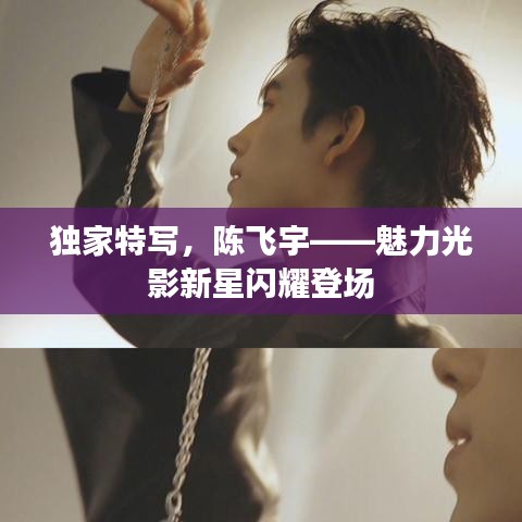 贵戚之卿 第2页