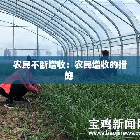 农民不断增收：农民增收的措施 