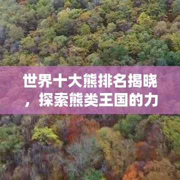 世界十大熊排名揭晓，探索熊类王国的力量与霸主魅力