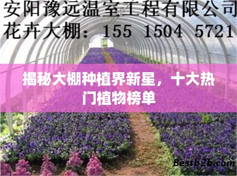 好整以暇 第2页