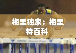 梅里独家：梅里特百科 