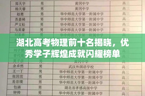 湖北高考物理前十名揭晓，优秀学子辉煌成就闪耀榜单