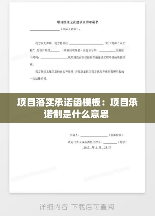 项目落实承诺函模板：项目承诺制是什么意思 