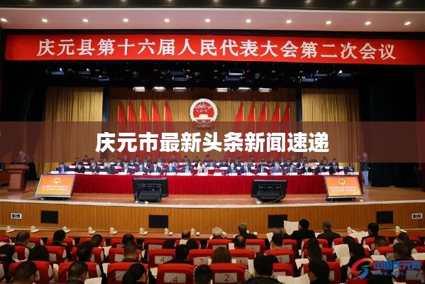 庆元市最新头条新闻速递