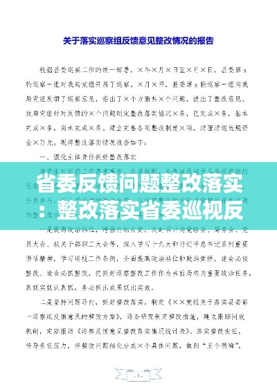 省委反馈问题整改落实：整改落实省委巡视反馈意见个人剖析 