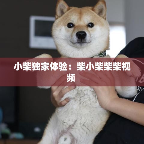 艰苦卓绝 第2页