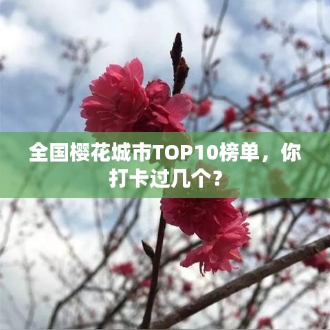 全国樱花城市TOP10榜单，你打卡过几个？