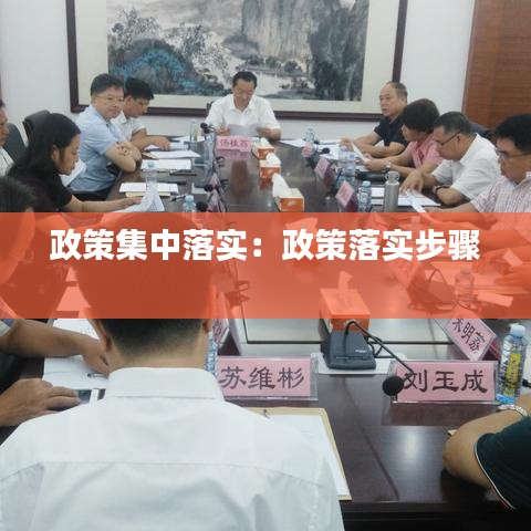 政策集中落实：政策落实步骤 