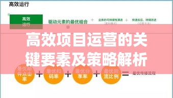 高效项目运营的关键要素及策略解析