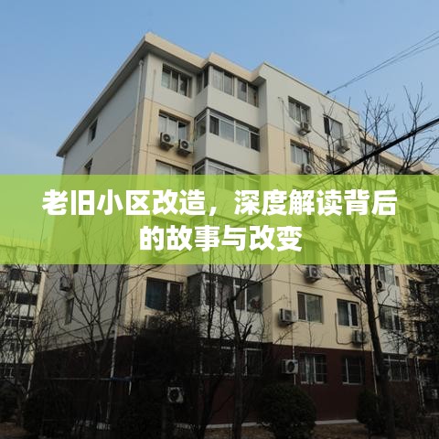 懵懵懂懂 第2页