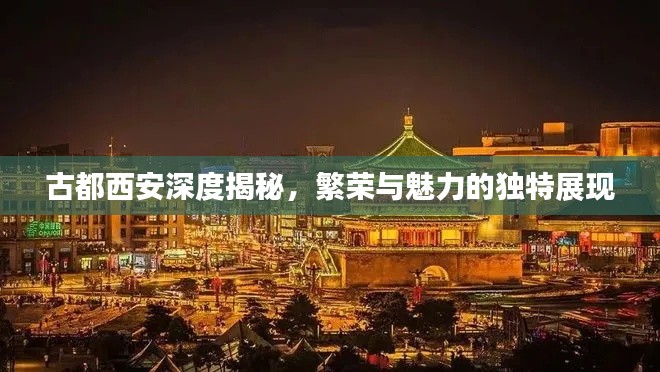 古都西安深度揭秘，繁荣与魅力的独特展现