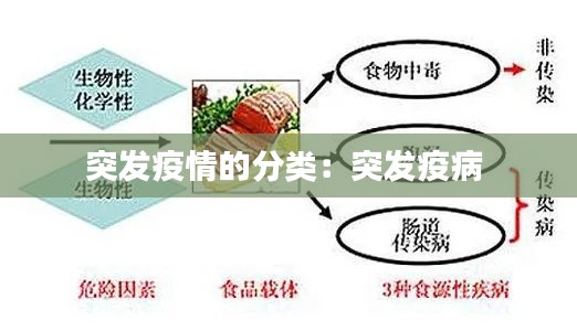 突发疫情的分类：突发疫病 
