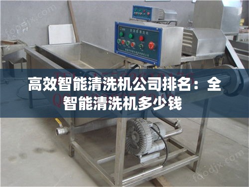 高效智能清洗机公司排名：全智能清洗机多少钱 