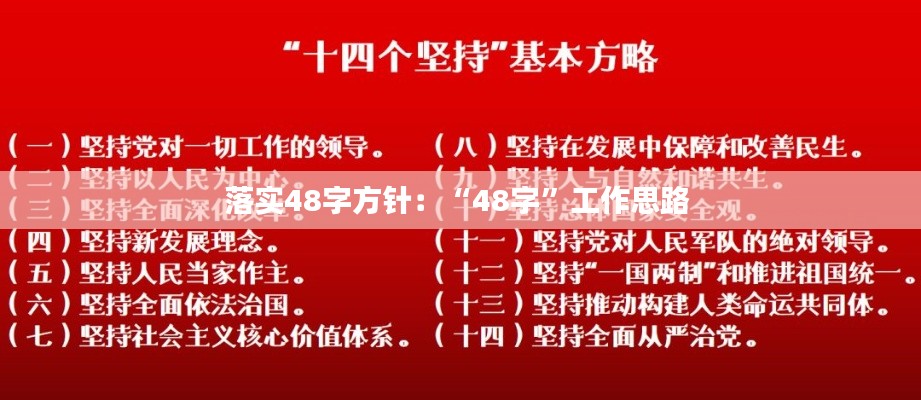 落实48字方针：“48字”工作思路 