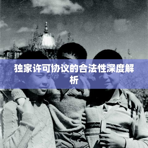 独家许可协议的合法性深度解析