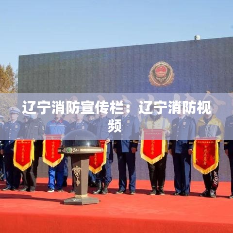辽宁消防宣传栏：辽宁消防视频 