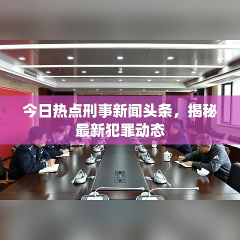 今日热点刑事新闻头条，揭秘最新犯罪动态
