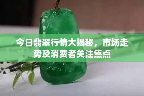 今日翡翠行情大揭秘，市场走势及消费者关注焦点