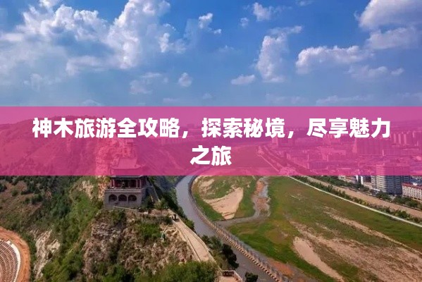 夯雀儿先飞 第2页