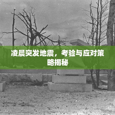 凌晨突发地震，考验与应对策略揭秘