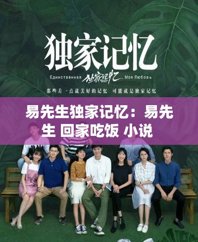 易先生独家记忆：易先生 回家吃饭 小说 