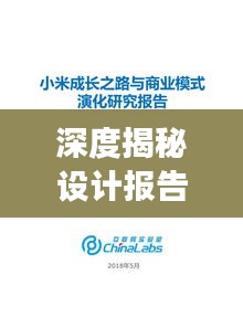 深度揭秘设计报告，全方位解读背后的故事