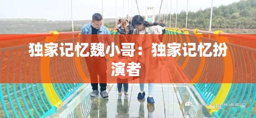 独家记忆魏小哥：独家记忆扮演者 