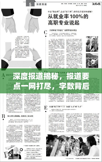 深度报道揭秘，报道要点一网打尽，字数背后的故事揭秘！