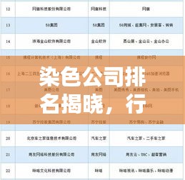 染色公司排名揭晓，行业领军企业的实力与影响力榜单！