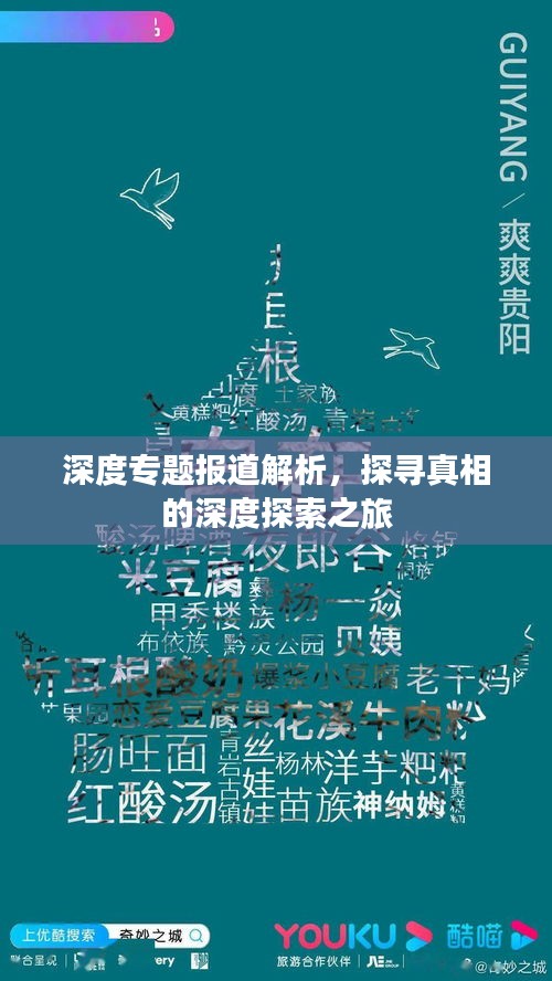 深度专题报道解析，探寻真相的深度探索之旅