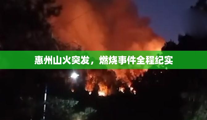 惠州山火突发，燃烧事件全程纪实