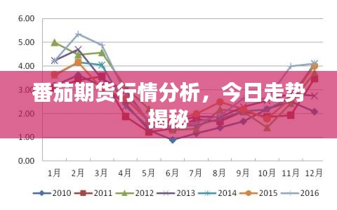 番茄期货行情分析，今日走势揭秘